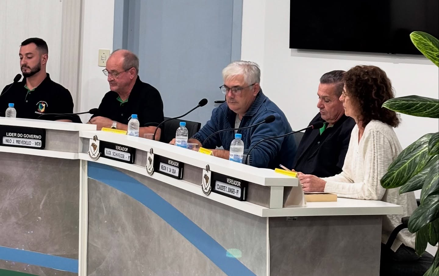 12ª Sessão Ordinária de 2025