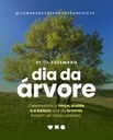 21 de setembro, dia da Árvore! 🌳✨  21 de setembro, dia da Árvore! 🌳✨