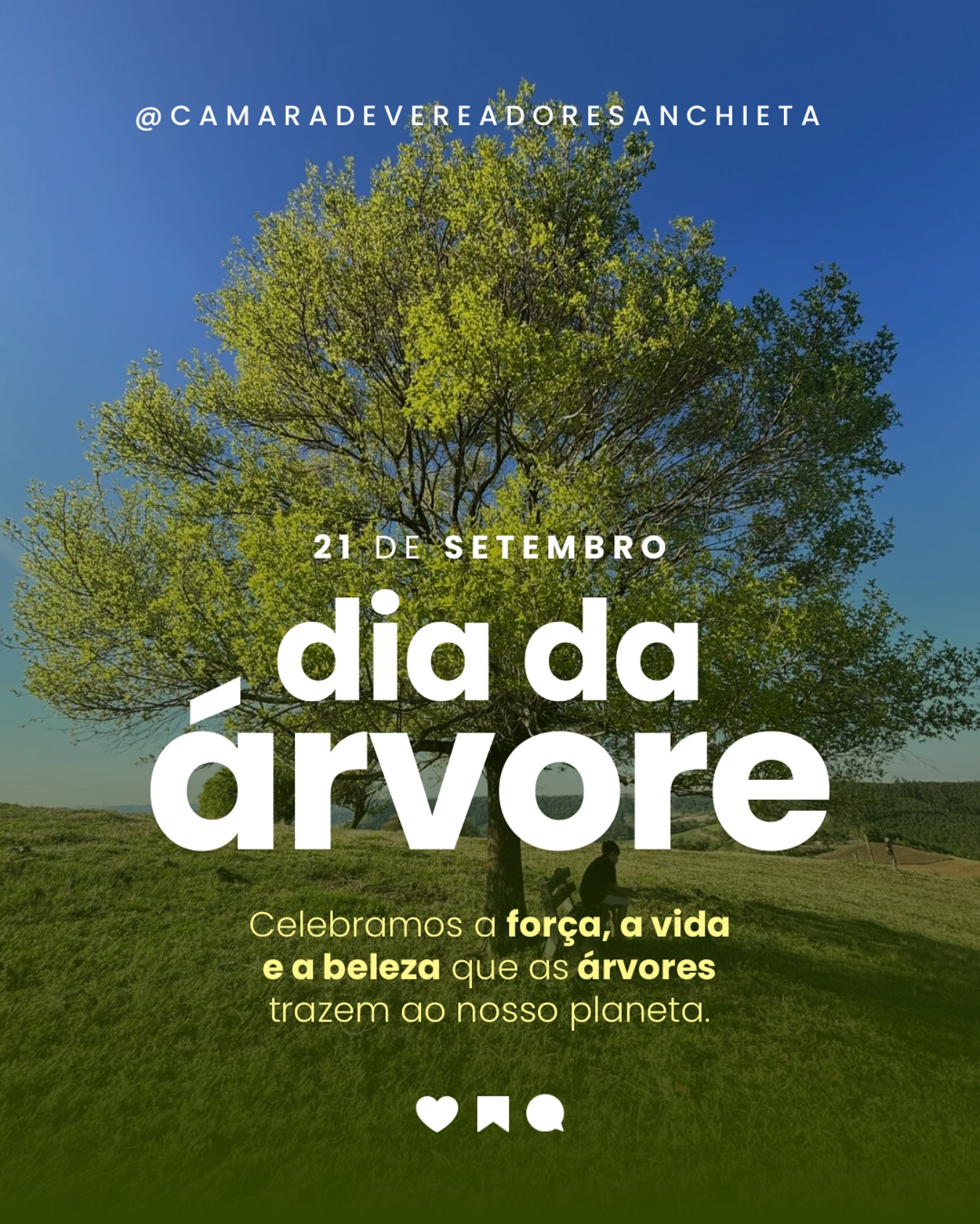 21 de setembro, dia da Árvore! 🌳✨ 